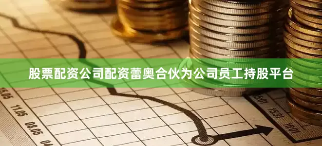股票配资公司配资蕾奥合伙为公司员工持股平台